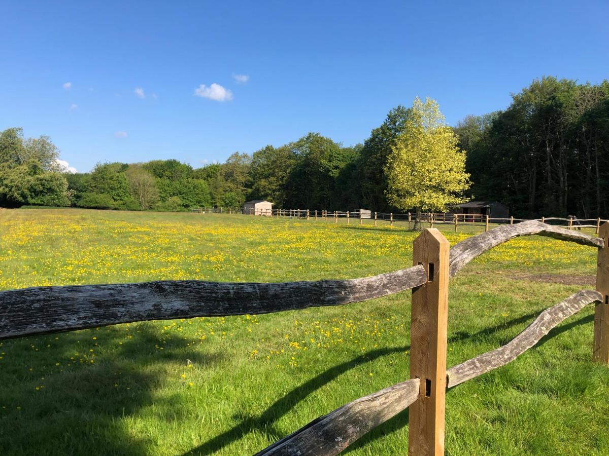 Ryefield Cottage - Luxurious Self-Catered Holiday Cottage With A Log Burner Chichester Kültér fotó